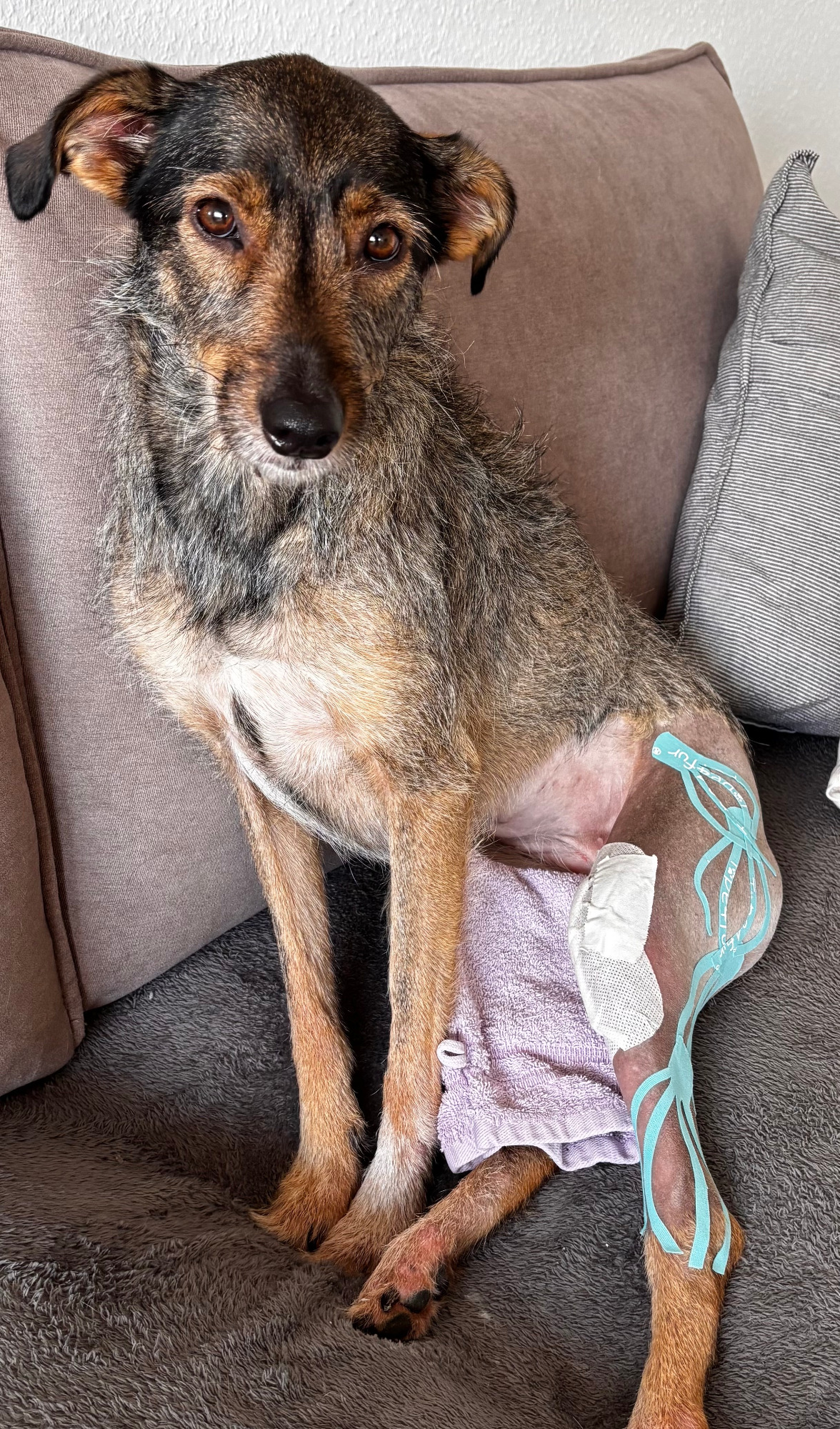 Lymphdrainage inkl. Lymphtape